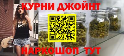 сатива Бузулук