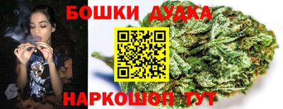 сатива Бузулук